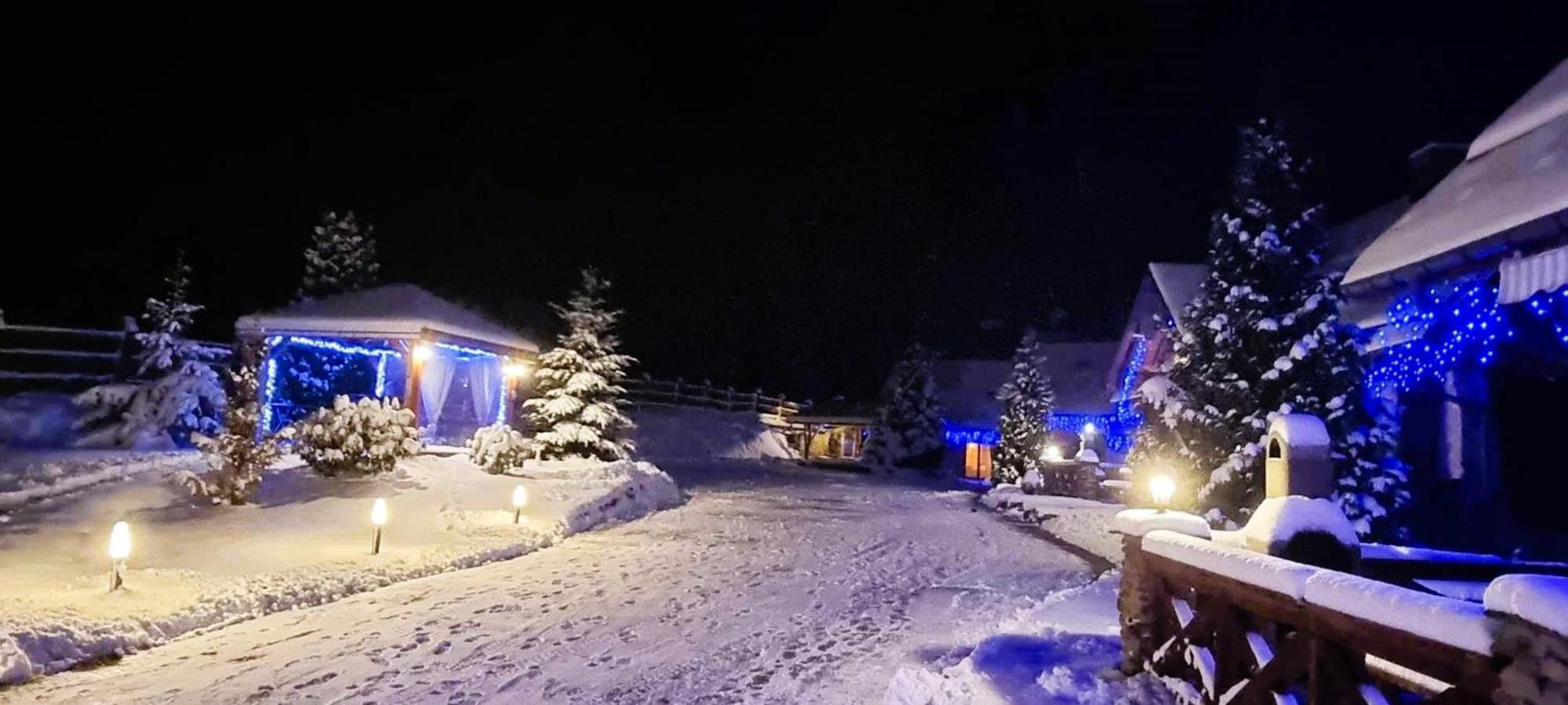 Osrodek Wczasowy Na Borach Villa คอร์เบียลุฟ ภายนอก รูปภาพ